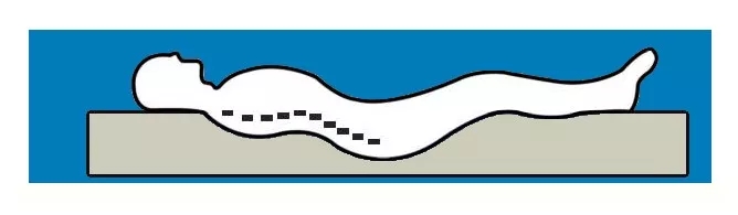 1609383535137142.jpg 640.webp.jpg